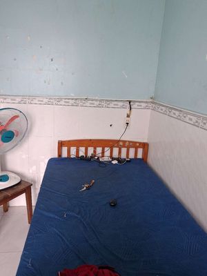 Rent 1115 Huỳnh Tấn Phát Phú Thuận Phú Thuận district 7