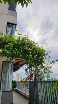 Akari City-2 bedroom 1 toilet (78 M2 view interior)
