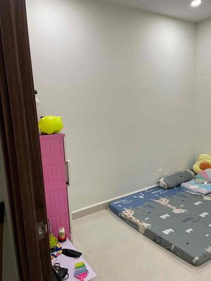 Share One Room in the apartment