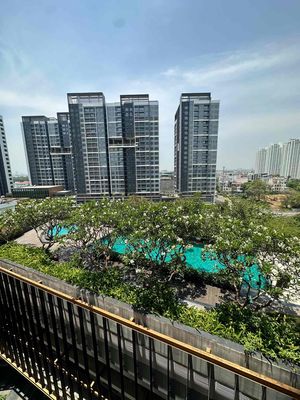 share apartment apartment