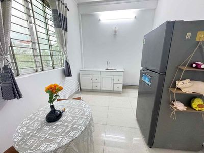 apartment 1 bedroom 50 m2 District 7 near Lotte, Kcx, University Tdtu, Rmit