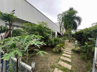 Rent a yard house.