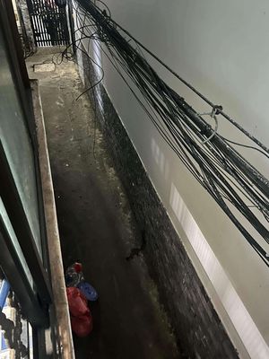 To rent the original house