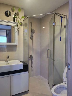Need to rent many apartments at Botanica Premier-novaland