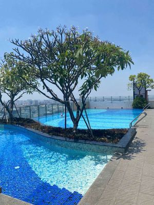 Need to rent multiple officetel-1 bedroom 2 bedroom 3 bedrooms at chcc Botanica Premier