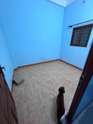 room/ floor