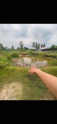 33,000 meters 2 (75 m x 40 m) Tam Đa, District 9