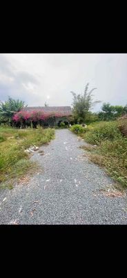 33,000 meters 2 (75 m x 40 m) Tam Đa, District 9