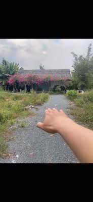 33,000 meters 2 (75 m x 40 m) Tam Đa, District 9