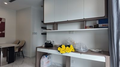 Rent the two bedrooms The Opus One most to the city of vinhomes District 9