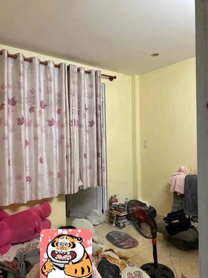 Trần Thị Trọng alley, 48 meters, 2 stories, 3 bedrooms.