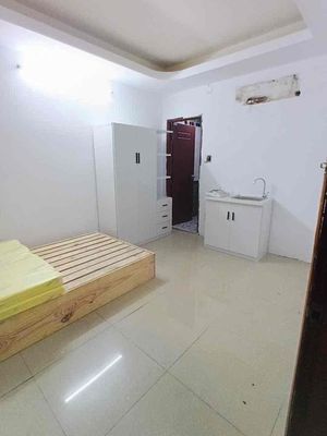 Rent 15 Nguyễn Thị Thậps, 45 million.