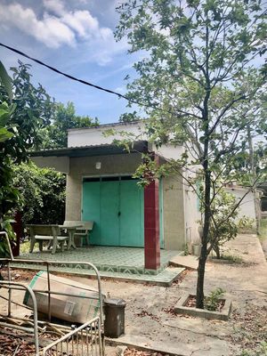 Rentment + garden