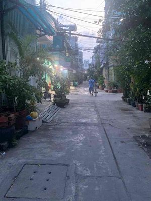 Lạc Long Quân Rent