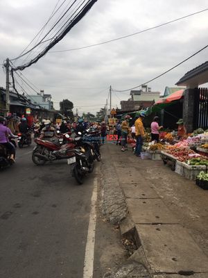 Rent near kcn near the flower market
