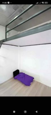 The owner rented three stories by Trần Văn Quang.