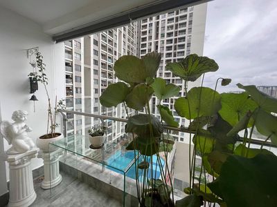 Central apartment of The Gold View Projects