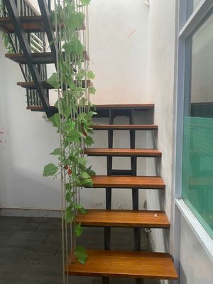 The House of the Realty, two bedrooms, three toilets, near the front. basic interior