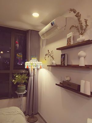 Rent Riva Park two bedrooms, center sg, view of the 1st District fireworks, manual
