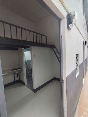12-dollar motel room.