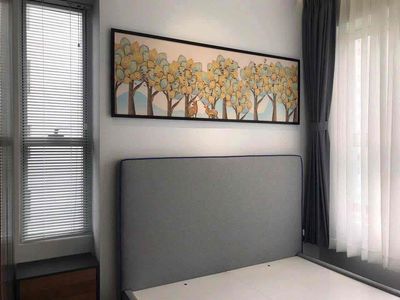 Sunrise Riverside rents three rooms full of furniture 17.5 million.