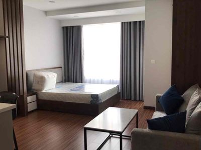Rent Officetel Sunrise CityView District 7h: