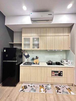 Rendezvous to rent sunrise City View District 7 short term term