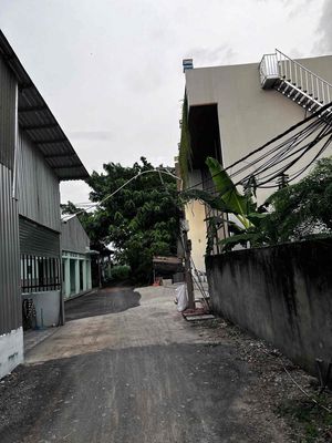 To rent business production