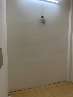 Rent a cheap room in 1st, area 20 square meters.