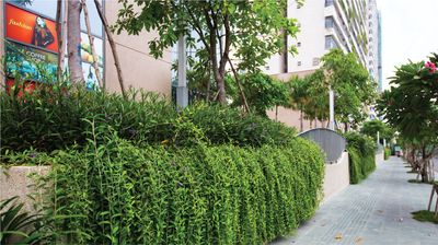 Diamond Lotus Riverside_2 bedroom 1 toilet new price