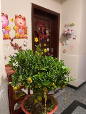 Need to rent an upper apartment full of furniture 3 bedrooms 122 meters