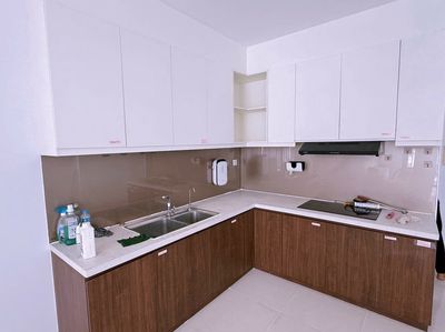 Rent a Central Premium high-class apartment-- the District 8 2 bedrooms full.