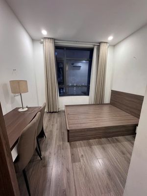 Rent a Central Premium high-class apartment-- the District 8 2 bedrooms full.