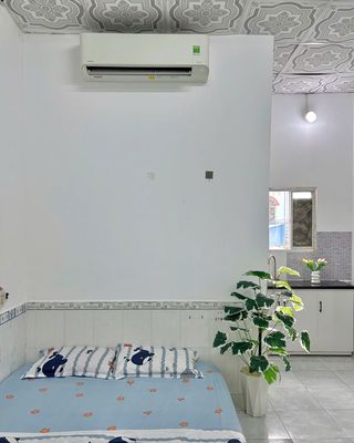 Just four minutes to huflit hormones-roomed with 30 M2-free motors in place.