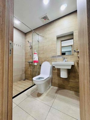 C. The owner of Diamond Celadon Citity 92m 15 million has an internal property.