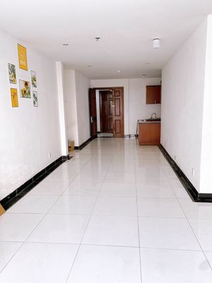 I need to rent the Vietcong apartment,