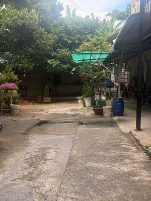 90 Dương Cát Lợi is rented to the Zqz Bridge