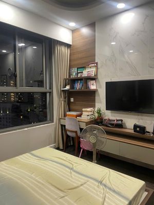 Bags for rental C/C Phú Nhuận kingston 2 and 3 interior diversified rooms