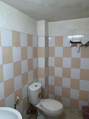 Rent house, business. I'm sorry, boss.