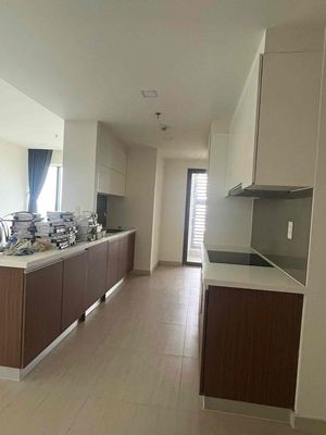 Rent the house of Sunshine diammond, District 7 of the lowest price today.
