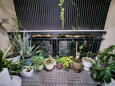 The rarest 3-pricest bedroom Tân Bình - rents 100 M2 levels of stability