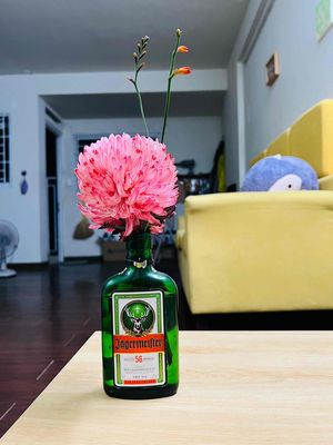 Rent apartment EhomeS Mizuki