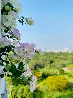 Rent apartment EhomeS Mizuki