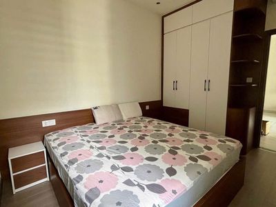 THE NEW UNlVlVANT, THE LlVANT, THE 11: 2 p sleep, new interior, 70 meters2, 13 million