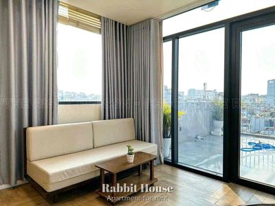 renting apartments — free air — security park — in the heart of District 1