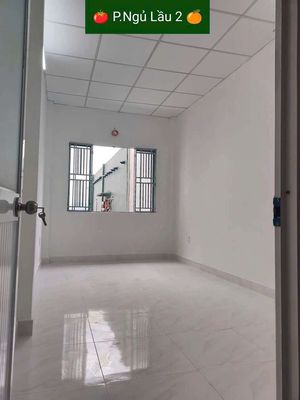 House 1 7th floor 3 x 7m 2 2m 2 room 2 Hall 2 Shalight Alley