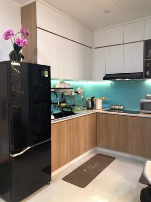 Renting apartment emerald,diamond brült,crety Tân Phú