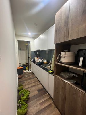 Renting Green River apartment 6'2"/2/2/2 sleeping rooms 2 toilets cost 10 million full interior 8