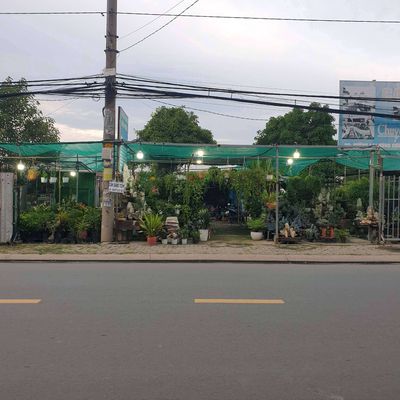 Rent House 4*12*2*Jeung Vĩnh Lộc B Bình Chánh Law Line