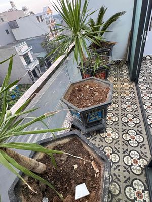 a super wide - open window